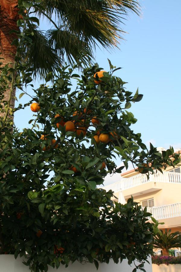 Nissi Villa Agia Napa Buitenkant foto